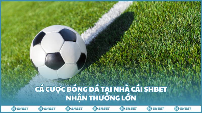 Ca Cuoc Bong Da Tai Nha Cai Shbet Nhan Thuong Lon