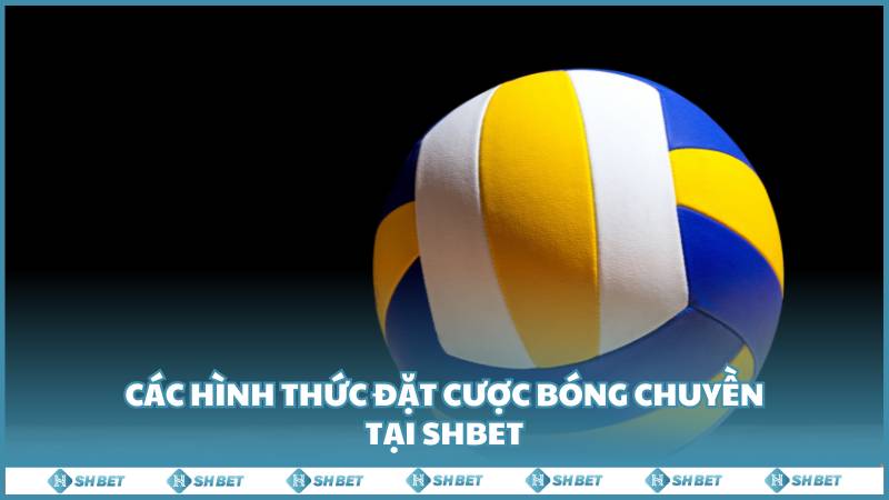 Cac Hinh Thuc Dat Cuoc Bong Chuyen Tai Shbet