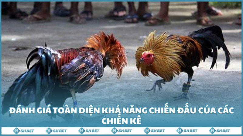 Danh Gia Toan Dien Kha Nang Chien Dau Cua Cac Chien Ke