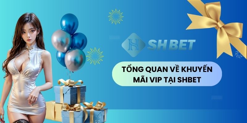 Gioi Thieu Chuong Trinh Khuyen Mai Vip Tai Shbet 2